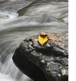 Weerbaarheidstraining: Rots & Water Weerbaarheidstraining: Rots & Water